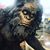 Heidi Lindquist Feeney's profile image