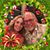 Louise Nicholls Sperling's profile image