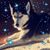 Angela Jadwin's profile image