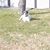 Sharon Cromwell's profile image