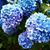 Ginnie Marchus Rosson's profile image