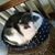 Cornelia DeVeau's profile image