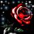 Teresa Hill's profile image