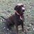 Robin West Stewart's profile image