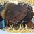 Natasha Barsky Leslie's profile image