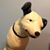 Tony Johnson's profile image