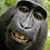 Sebastian Soares's profile image