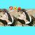 Shorty Alicia Godoy's profile image