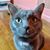 Elizabeth Smith's profile image