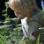 Sarah Allen's profile image