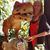 Tere Keller's profile image