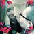 Elizabeth Loebrich's profile image