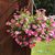 Jillian La Rosa Carneiro's profile image