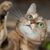 Paula B-e's profile image