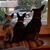 Ethel Jones's profile image