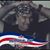 Allen McAnulty's profile image