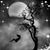 Kelle Shingler's profile image
