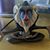 Vicki Botner's profile image