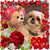 Argelia Garcia's profile image