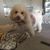 Laureen Smothers's profile image