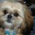 Lorri Sackreuter's profile image