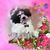 Redith Plummer's profile image