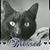 Shelly Thomason's profile image