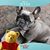 Tammy Shimel Hurt's profile image