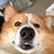 Deb Reid's profile image