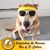Carin Goncalves's profile image