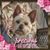 Sue Ansell Abbott's profile image