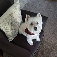 Melody Scalf Criswell's profile image