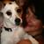 Piglett Pook's profile image