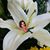 Debbie Kuehl's profile image