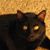 Mary Evans's profile image