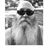 Greg Burbey's profile image