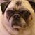 Sarah Dodson's profile image