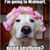 Stacy Hutchinson Kaspar Leonardo's profile image