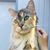 Glenys Mee's profile image