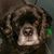 Doreen Elizabeth's profile image