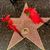 Lillian Mizrahi's profile image