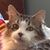 Don Vallero's profile image