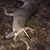Jim Thomas's profile image