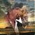 Stewart Futch's profile image