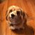 Jannette Evans Sickels's profile image