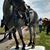 Delaine Wagner's profile image