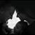 Parvaneh Zare's profile image
