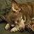 Jennifer A. Sims's profile image