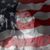 Ann Benner Taylor's profile image