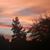 Susan Crayford's profile image
